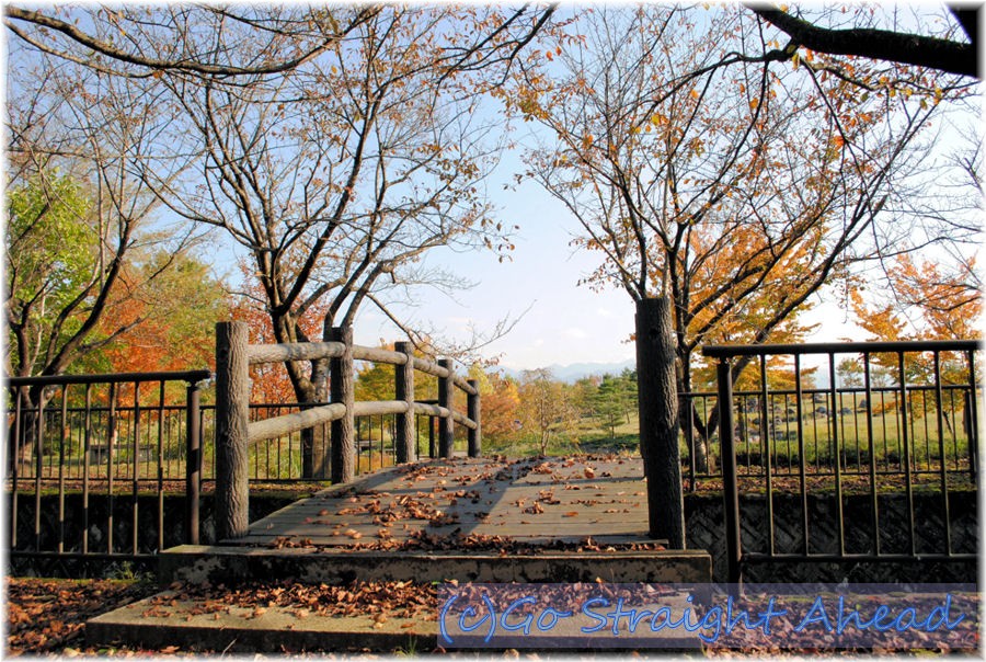 2010晩秋その3