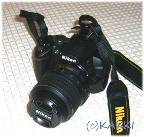 nikonD3000